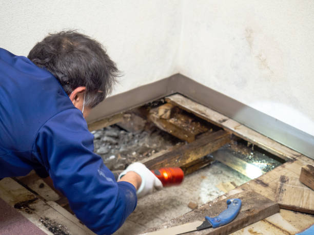 Best Crawl Space Mold Removal  in Plymouth, PA