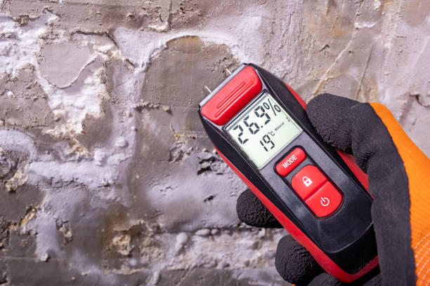 Trusted Plymouth, PA Mold Removal Experts