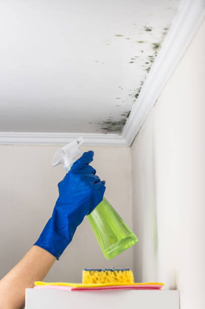 Best Water Damage Restoration  in Plymouth, PA